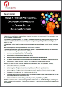 Using a Project Professional Competency Framework snippet preview